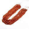 Baking Paint Transparent Glass Beads X1-DGLA-A035-T10mm-A04-2