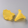 Transparent Acrylic Beads BSF796-C09-3