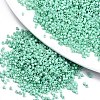 11/0 Grade A Baking Paint Glass Seed Beads SEED-S030-1036-1