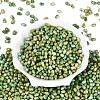Picasso Glass Seed Beads SEED-N012-10J-2
