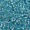 Glass Seed Beads X1-SEED-S042-04A-13-3