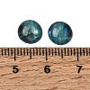 Abalone Shell/Paua Shell Cabochons X-SSHEL-K003-8MM-3