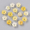 Frosted Transparent Acrylic Beads X-OACR-N137-72G-2