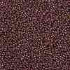 MIYUKI Round Rocailles Beads X-SEED-G008-RR0301-3