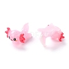 Resin Decoden Cabochons X-RESI-I043-05-3