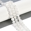 Natural Selenite Beads Strands G-G167-A01-01-2