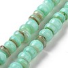 Natural Cultured Freshwater Shell Beads Strands SHEL-F002-01C-1