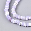 Natural Trochid Shell/Trochus Shell Beads Strands SSHEL-N040-21D-3