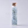 Glass Wishing Bottle DJEW-L013-A19-1