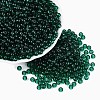 FGB Transparent Glass Seed Beads SEED-N013-01A-06-1