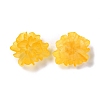 Transparent Resin Cabochons LS-RESI-G027-01C-3