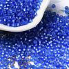 8/0 Glass Seed Beads SEED-Z001-C-E06-1