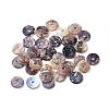Flat Round Natural Akoya Shell Beads SHEL-N034-11-2