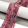 Gradient Color Natural Pink Tourmaline Beads Strands G-K373-A03-01-1