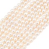 Natural Cultured Freshwater Pearl Beads Strands PEAR-D003-01A-2