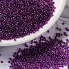 MIYUKI Round Rocailles Beads X-SEED-G009-RR0352-1
