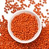 6/0 Glass Seed Beads X2-SEED-A010-4mm-50-2