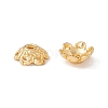 6-Petal Brass Bead Caps KK-A162-03G-4