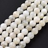 Natural White Moonstone Beads Strands G-F674-08-8mm-01-5