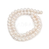 Natural Cultured Freshwater Pearl Beads Strands PEAR-I007-07X-04A-3