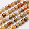 Natural Crazy Lace Agate Beads Strands G-G542-14mm-10-1