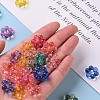 Transparent Acrylic Bead Frames TACR-S153-01A-M-5