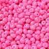 6/0 Opaque Baking Paint Glass Seed Beads X1-SEED-M012-02A-22-3