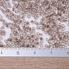 MIYUKI Delica Beads X-SEED-J020-DB0064-4