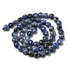 Natural Sodalite Beads Strands G-K351-A03-01-3
