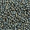 TOHO 11/0 Round Beads X-SEED-TR11-PF0512F-2