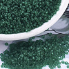 MIYUKI Round Rocailles Beads SEED-X0054-RR0147F-1
