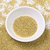 MIYUKI Delica Beads SEED-J020-DB0042-2