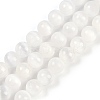 Natural Selenite Beads Strands G-G167-A01-01-1