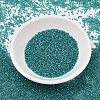 MIYUKI Delica Beads X-SEED-J020-DB2380-2