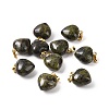 Natural Dragon Blood Pendants G-I311-A05-G-3