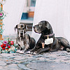 2Pcs 2 Colors PU Leather Pet Collar Couple Ring Boxes AJEW-DR0001-23-6