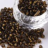 6/0 Glass Seed Beads SEED-A005-4mm-53-1