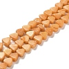 Natural Dolomite Beads Strands G-F765-H03-01-1