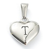 304 Stainless Steel Pendants LS-STAS-P278-01T-P-1
