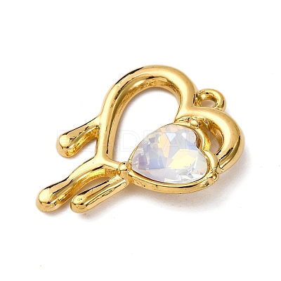 304 Stainless Steel Pendants STAS-L299-21G-05-1