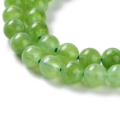 Dyed Natural Malaysia Jade Beads Strands G-G021-02A-04-1