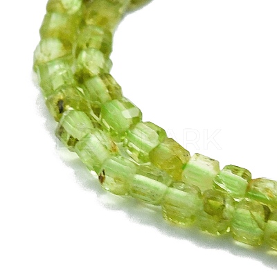 Natural Peridot Beads Strands G-P457-B01-06-1