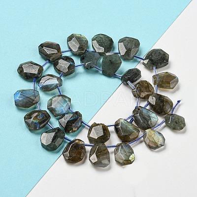 Natural Labradorite Beads Strands G-Z040-A03-01-1
