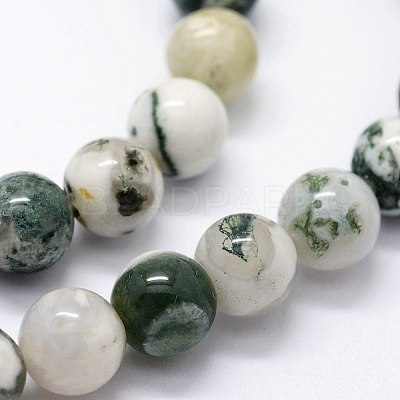 Natural Tree Agate Beads Strands G-I199-03-10mm-1