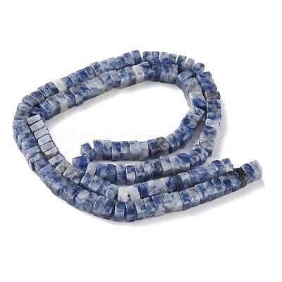 Natural Blue Spot Jasper Beads Strands G-I394-A08-1