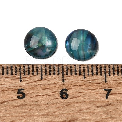 Abalone Shell/Paua Shell Cabochons X-SSHEL-K003-8MM-1