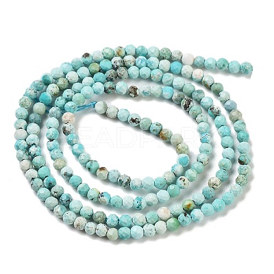 Natural HuBei Turquoise Beads Strands G-G792-38-01-1