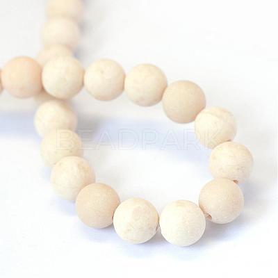 Frosted Natural Fossil Round Bead Strands G-E334-6mm-22-1