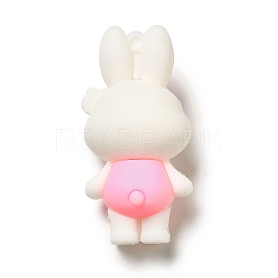 PVC Plastic Big Pendants X-KY-C011-01A-1