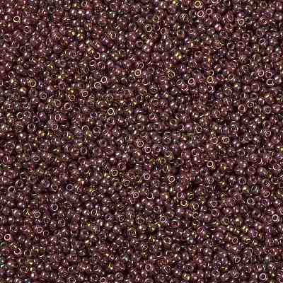 MIYUKI Round Rocailles Beads X-SEED-G008-RR0301-1